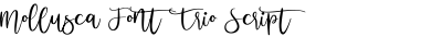 Mollusca Font Trio Script